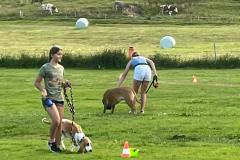 WhatsApp-Image-2026-07-07-at-22.41.09-4-Kopie