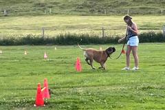 WhatsApp-Image-2026-07-07-at-22.41.10-7