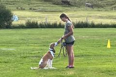 WhatsApp-Image-2026-07-07-at-22.41.10-9