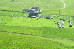IMG_0948