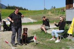 IMG_0952