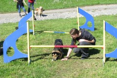 IMG_0968