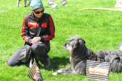 IMG_0978