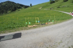 DSCN3397