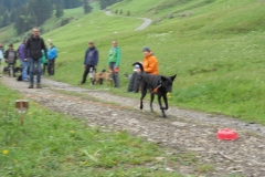 DSCN0317
