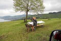 DSCN0331