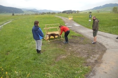 DSCN0347