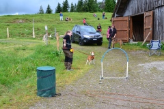 DSC_0104