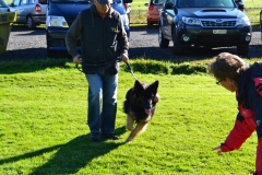 DSC_0063