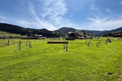 E1CF8702-C042-4DA4-8BB0-34144D6AA140