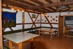 Saal-3