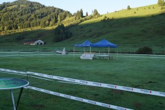 WhatsApp-Image-2026-03-15-at-17.21.40