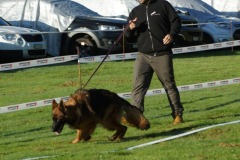 WhatsApp-Image-2026-03-15-at-17.21.41-10