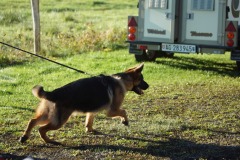 WhatsApp-Image-2026-03-15-at-17.21.41-11