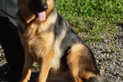 WhatsApp-Image-2026-03-15-at-17.21.41-12