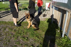 WhatsApp-Image-2026-03-15-at-17.21.41-14