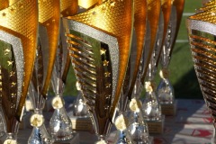 WhatsApp-Image-2026-03-15-at-17.21.41-17