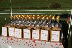 WhatsApp-Image-2026-03-15-at-17.21.41-18