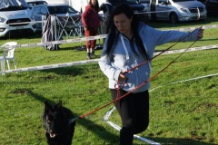 WhatsApp-Image-2026-03-15-at-17.21.41-2