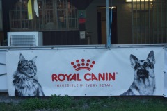 WhatsApp-Image-2026-03-15-at-17.21.41-28