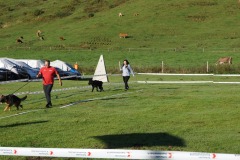 WhatsApp-Image-2026-03-15-at-17.21.41-4