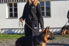 WhatsApp-Image-2026-03-15-at-17.21.41-5