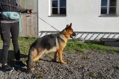 WhatsApp-Image-2026-03-15-at-17.21.41-6