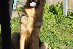 WhatsApp-Image-2026-03-15-at-17.21.41-7