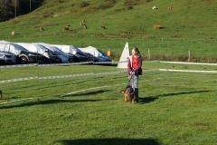 WhatsApp-Image-2026-03-15-at-17.21.41