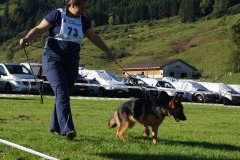 WhatsApp-Image-2026-03-15-at-17.21.42-10