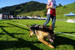 WhatsApp-Image-2026-03-15-at-17.21.42-11