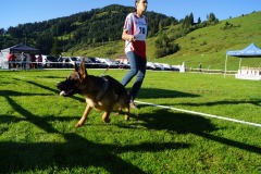 WhatsApp-Image-2026-03-15-at-17.21.42-12