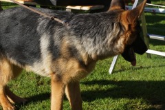 WhatsApp-Image-2026-03-15-at-17.21.42-13