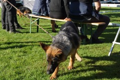 WhatsApp-Image-2026-03-15-at-17.21.42-14