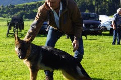 WhatsApp-Image-2026-03-15-at-17.21.42-15