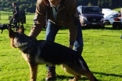 WhatsApp-Image-2026-03-15-at-17.21.42-16