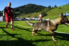 WhatsApp-Image-2026-03-15-at-17.21.42-17