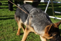 WhatsApp-Image-2026-03-15-at-17.21.42-18