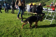 WhatsApp-Image-2026-03-15-at-17.21.42-19