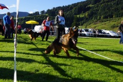 WhatsApp-Image-2026-03-15-at-17.21.42-22