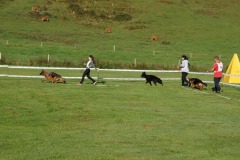 WhatsApp-Image-2026-03-15-at-17.21.42-24