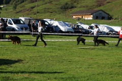 WhatsApp-Image-2026-03-15-at-17.21.42-25