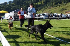 WhatsApp-Image-2026-03-15-at-17.21.42-26