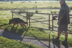 WhatsApp-Image-2026-03-15-at-17.21.42-3