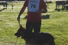 WhatsApp-Image-2026-03-15-at-17.21.42-34