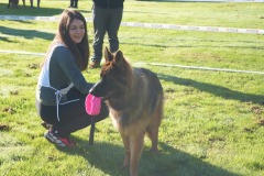 WhatsApp-Image-2026-03-15-at-17.21.42-35