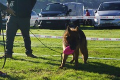 WhatsApp-Image-2026-03-15-at-17.21.42-37