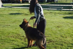 WhatsApp-Image-2026-03-15-at-17.21.42-38