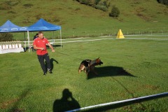 WhatsApp-Image-2026-03-15-at-17.21.42-4