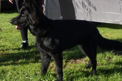 WhatsApp-Image-2026-03-15-at-17.21.42-41